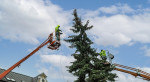 Energetici p�isp�li v Moravskoslezsk�m kraji na rozsv�cen� 60 strome�k�